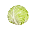Repolho Verde Kg