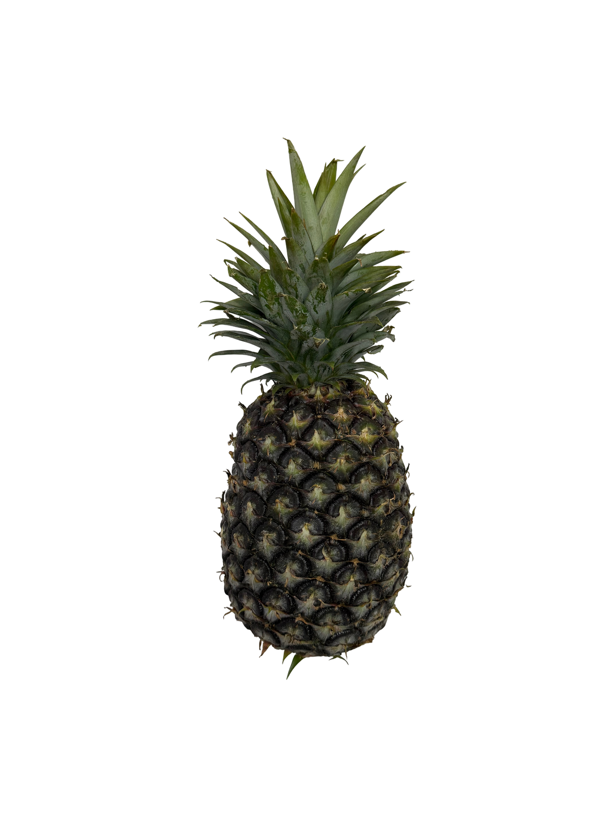 Abacaxi C/Coroa KG